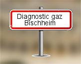 Diagnostic gaz à Bischheim